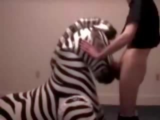 Zebra blir hals körd av förvanska chap klämma